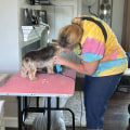 The Impact of Donations on Shelters in Northumberland County, PA